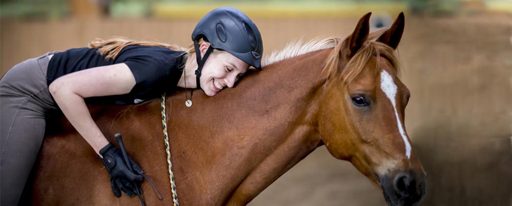 Equestrian