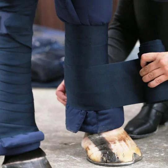 STABLE BANDAGE
