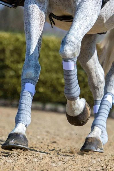 HOCK BANDAGE